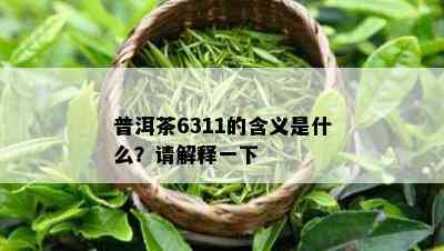 普洱茶6311的含义是什么？请解释一下