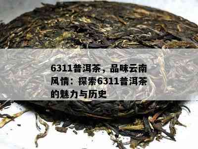 6311普洱茶，品味云南风情：探索6311普洱茶的魅力与历史