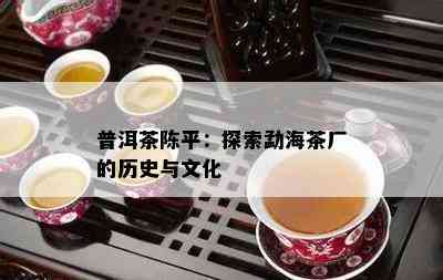 普洱茶陈平：探索勐海茶厂的历史与文化