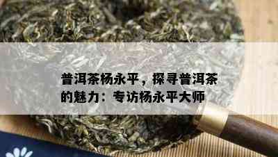 普洱茶杨永平，探寻普洱茶的魅力：专访杨永平大师