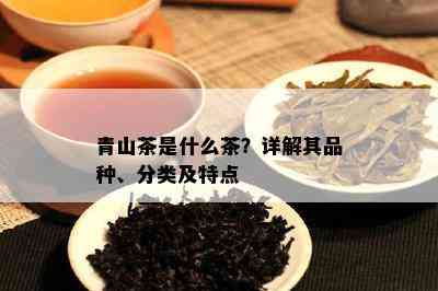 青山茶是什么茶？详解其品种、分类及特点