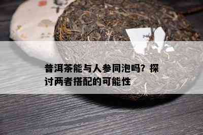 普洱茶能与人参同泡吗？探讨两者搭配的可能性