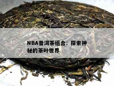 NBA普洱茶组合：探索神秘的茶叶世界