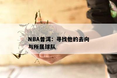 NBA普洱：寻找他的去向与所属球队