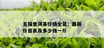 五福普洱茶价格全览：最新价目表及多少钱一斤