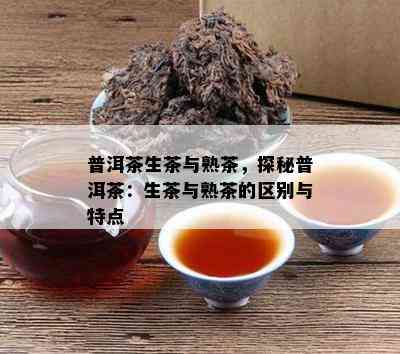 普洱茶生茶与熟茶，探秘普洱茶：生茶与熟茶的区别与特点