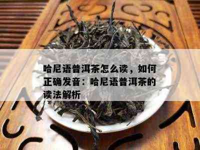 哈尼语普洱茶怎么读，如何正确发音：哈尼语普洱茶的读法解析