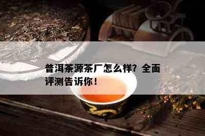 普洱茶源茶厂怎么样？全面评测告诉你！