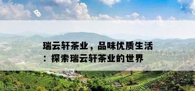 瑞云轩茶业，品味优质生活：探索瑞云轩茶业的世界