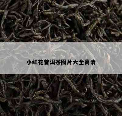 小红花普洱茶图片大全高清