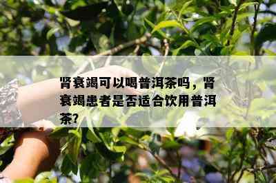 肾衰竭可以喝普洱茶吗，肾衰竭患者是否适合饮用普洱茶？