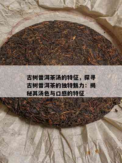 古树普洱茶汤的特征，探寻古树普洱茶的独特魅力：揭秘其汤色与口感的特征