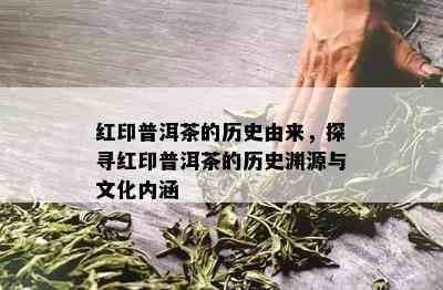 红印普洱茶的历史由来，探寻红印普洱茶的历史渊源与文化内涵