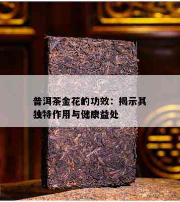 普洱茶金花的功效：揭示其特别作用与健康益处