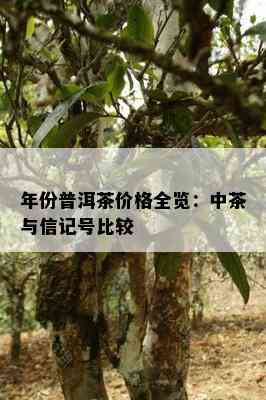 年份普洱茶价格全览：中茶与信记号比较