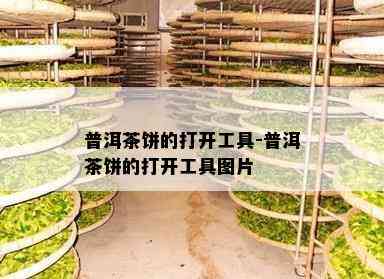 普洱茶饼的打开工具-普洱茶饼的打开工具图片