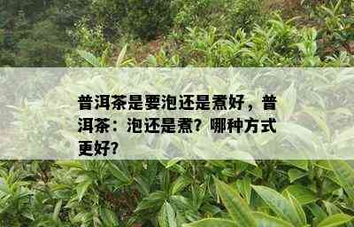 普洱茶是要泡还是煮好，普洱茶：泡还是煮？哪种方法更好？