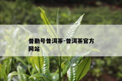 普勤号普洱茶-普洱茶官方网站