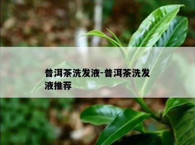 普洱茶洗发液-普洱茶洗发液推荐