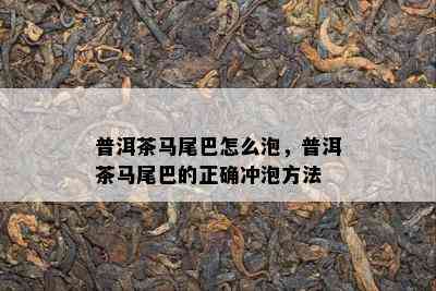 普洱茶马尾巴怎么泡，普洱茶马尾巴的正确冲泡方法