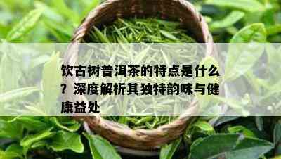 饮古树普洱茶的特点是什么？深度解析其特别韵味与健康益处