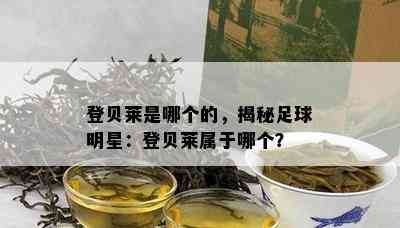 登贝莱是哪个的，揭秘足球明星：登贝莱属于哪个？