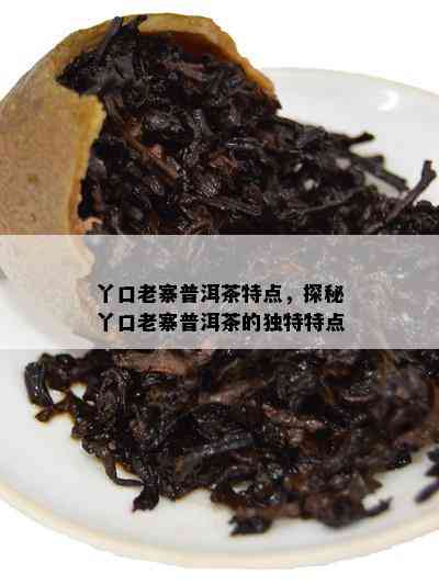 丫口老寨普洱茶特点，探秘丫口老寨普洱茶的独特特点