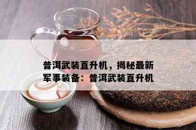 普洱武装直升机，揭秘最新军事装备：普洱武装直升机