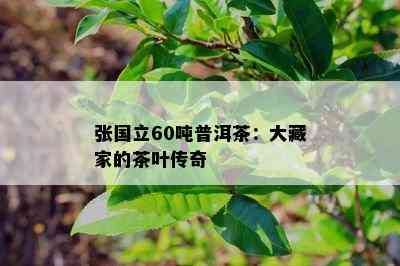 张国立60吨普洱茶：大藏家的茶叶传奇