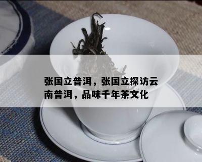 张国立普洱，张国立探访云南普洱，品味千年茶文化