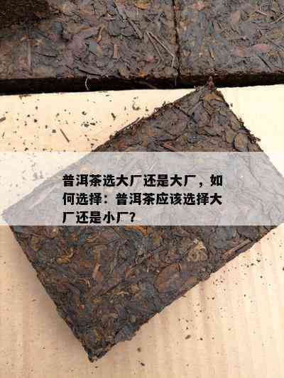 普洱茶选大厂还是大厂，怎样选择：普洱茶应选择大厂还是小厂？