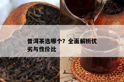 普洱茶选哪个？全面解析优劣与性价比