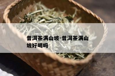 普洱茶满山坡-普洱茶满山坡好喝吗