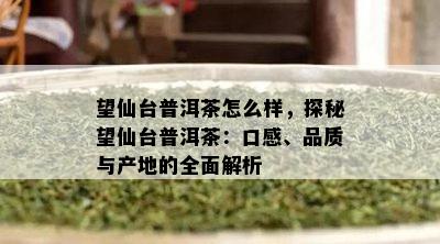 望仙台普洱茶怎么样，探秘望仙台普洱茶：口感、品质与产地的全面解析