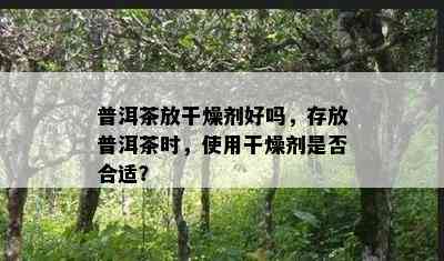 普洱茶放干燥剂好吗，存放普洱茶时，使用干燥剂是否合适？