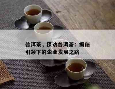 普洱茶，探访普洱茶：揭秘引领下的企业发展之路