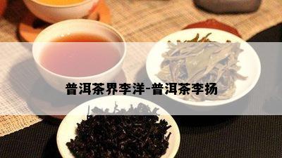 普洱茶界李洋-普洱茶李扬