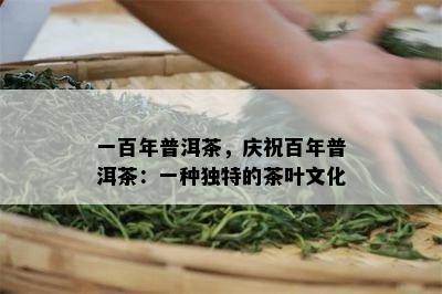 一百年普洱茶，庆祝百年普洱茶：一种独特的茶叶文化