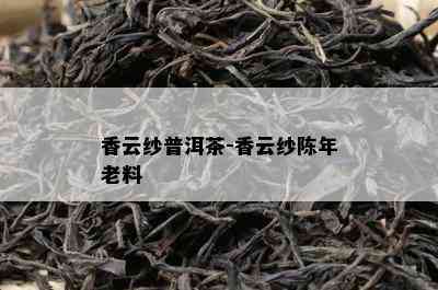 香云纱普洱茶-香云纱陈年老料