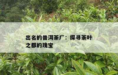 出名的普洱茶厂：探寻茶叶之都的瑰宝