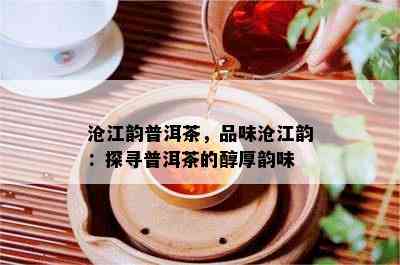 沧江韵普洱茶，品味沧江韵：探寻普洱茶的醇厚韵味