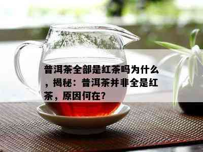 普洱茶全部是红茶吗为什么，揭秘：普洱茶并非全是红茶，起因何在？