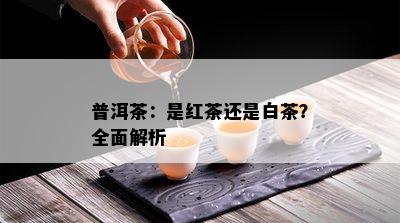 普洱茶：是红茶还是白茶？全面解析