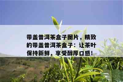 带盖普洱茶盒子图片，精致的带盖普洱茶盒子：让茶叶保持新鲜，享受醇厚口感！