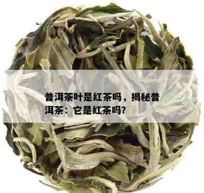 普洱茶叶是红茶吗，揭秘普洱茶：它是红茶吗？