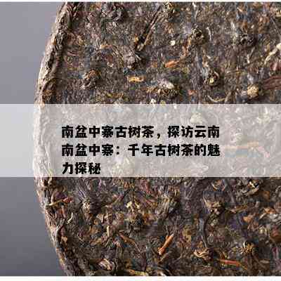 南盆中寨古树茶，探访云南南盆中寨：千年古树茶的魅力探秘