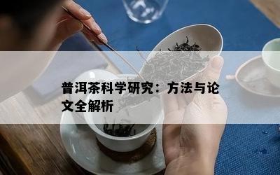 普洱茶科学研究：方法与论文全解析