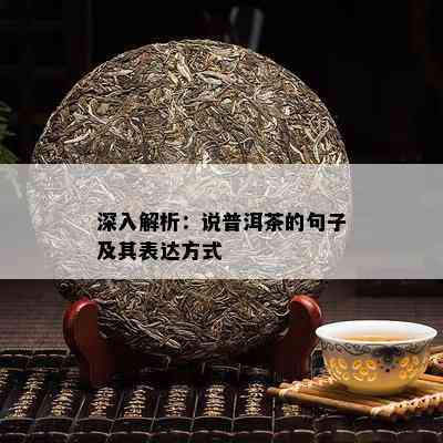 深入解析：说普洱茶的句子及其表达方法