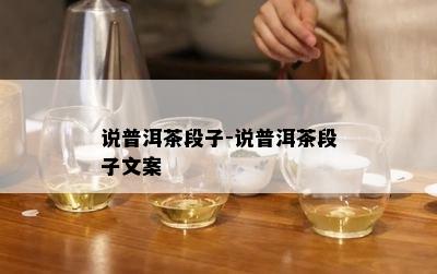 说普洱茶段子-说普洱茶段子文案