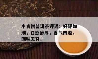 小青柑普洱茶评语：好评如潮，口感醇厚，香气四溢，回味无穷！